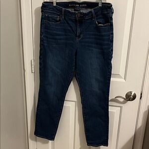 American Eagle Outfitters Women's Blue Jeans Skinny 16 Short EUC